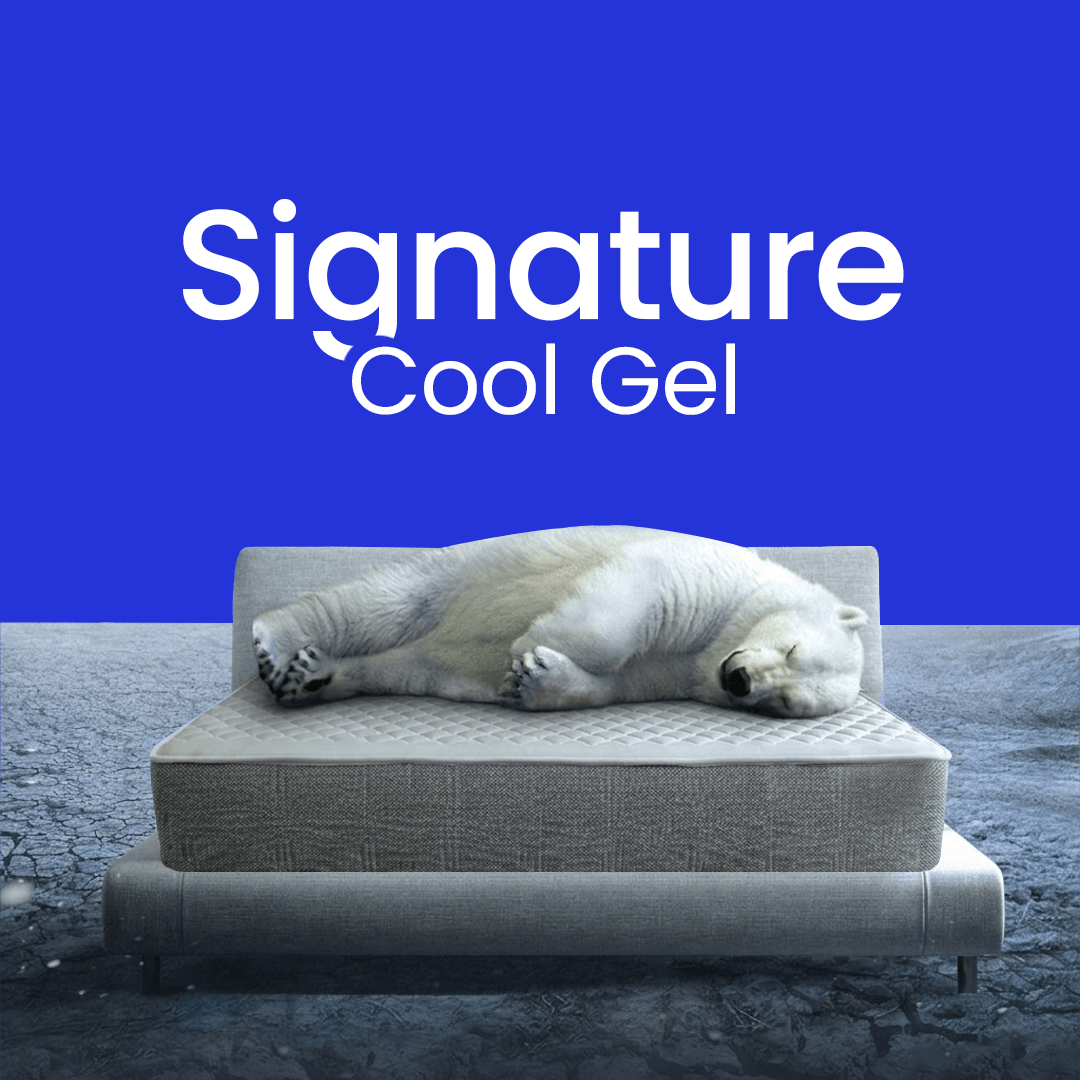 Signature Hybrid Elite Dual - Sleep Restore