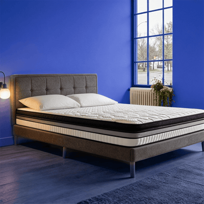 rest spring plus 8044020
